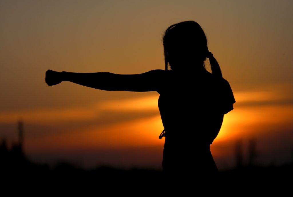 Silhouette of karate instructor throwing a punch