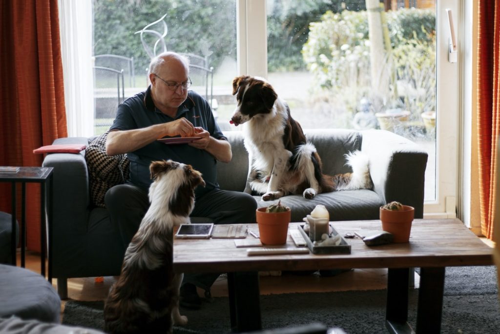 Pet sitter eating with dogs in the living room