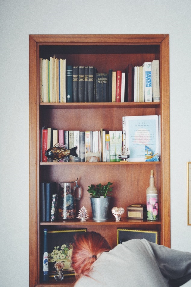 Home cleaner dusting a book shelf