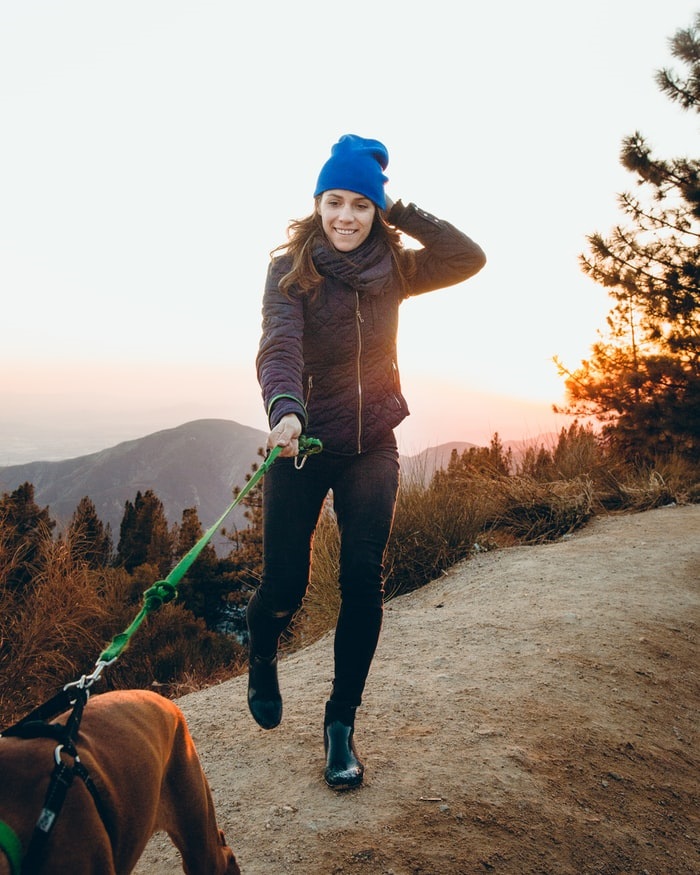 Dog walker leading a dog through a scenic park