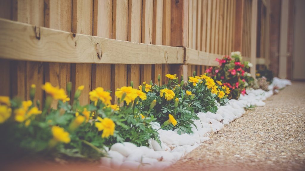 Landscaped flowers planted along a new fence