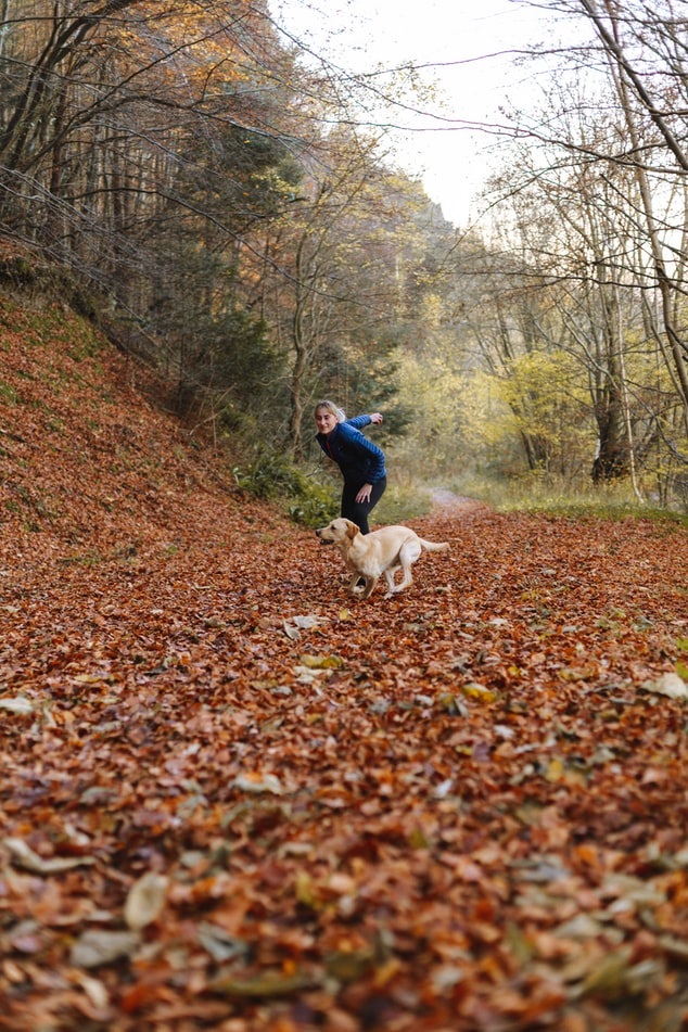 Dog trainer playing fetch with dog