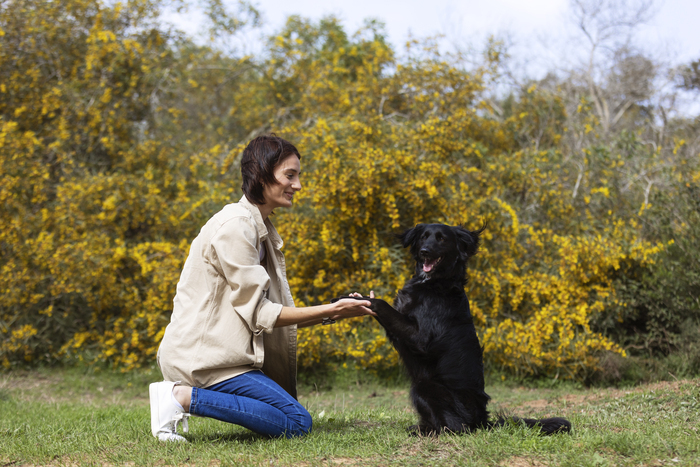 How to Make 100k Plus as a Dog Trainer