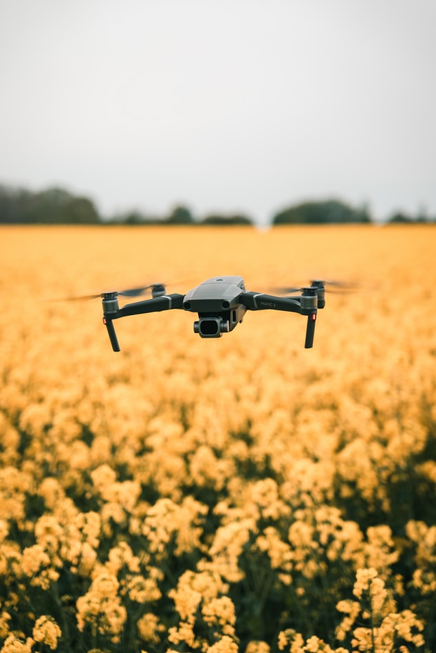 Close up of a drone flying over a field of flowers