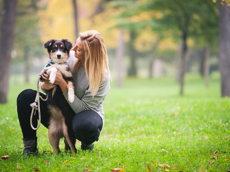 Pet sitter hugging dog at the park