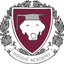 Doggie Academy